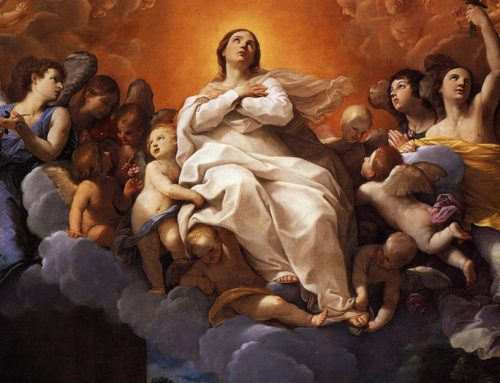 August 15, 2025 – Feast of the Assumption