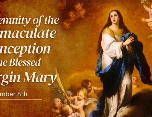 Immaculate Conception – December 8, 2025