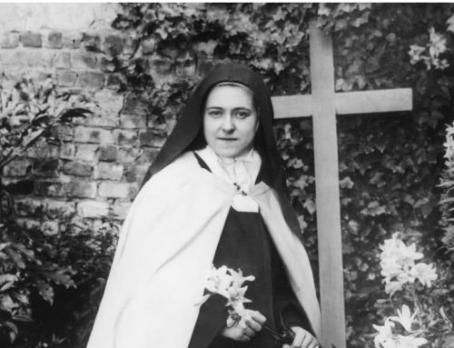 Relics of Saint Thérèse of Lisieux – May 12, 2026 – 2:00 PM to 7:00 PM