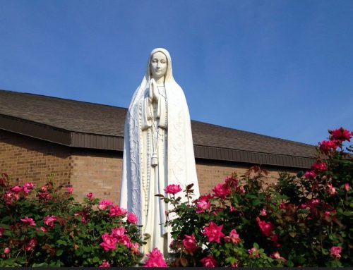 Outdoor Public Rosary